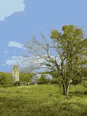 ����������������� �����������