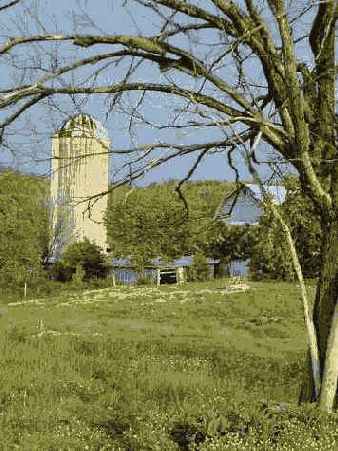 � ������� ������� ���� ��� 