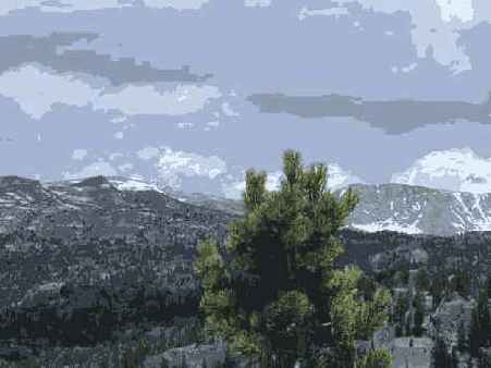 �������� �����������