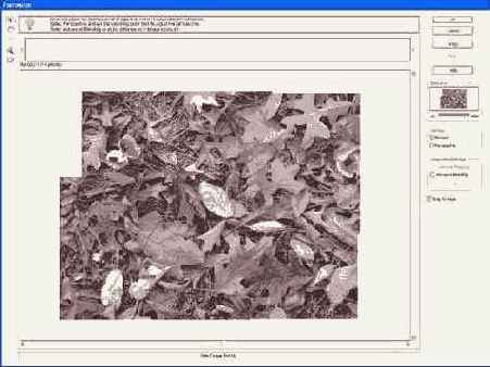 ���������� 36 6