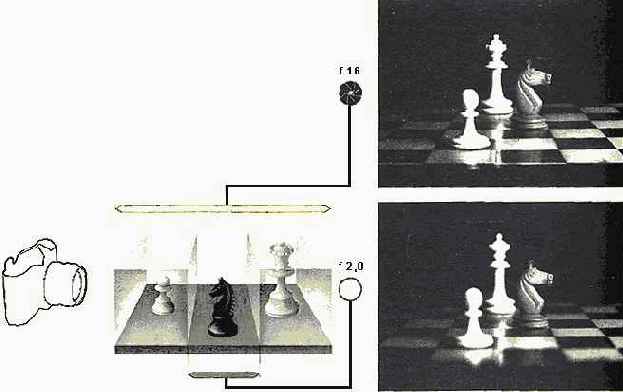 ������� ���� � ��������