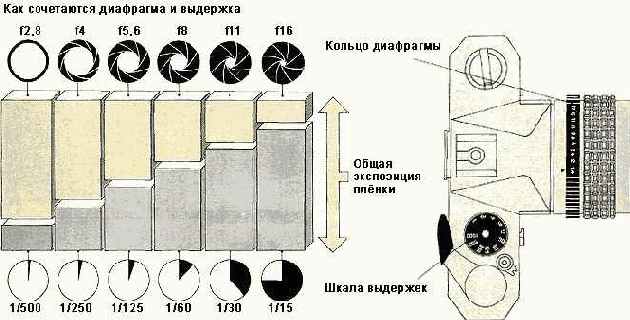 ����� ����������