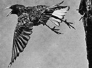 ���������� � �����