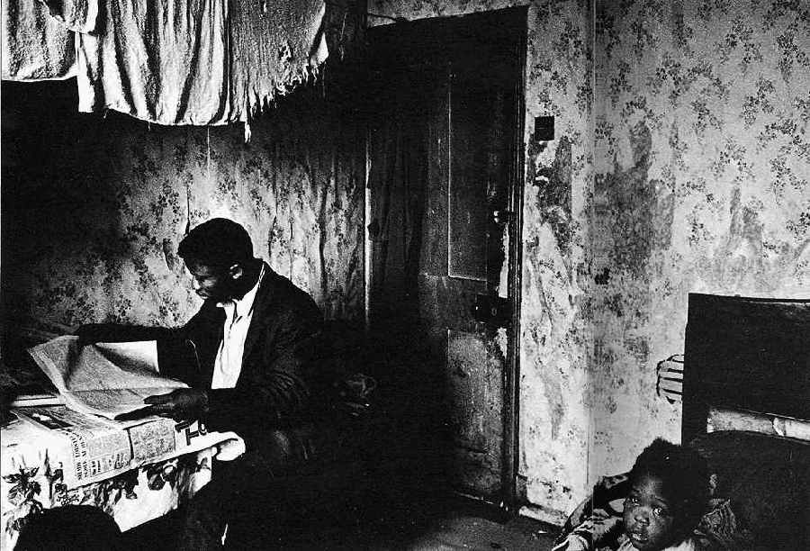 ���� ������� ���� ���������� ����