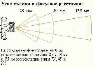 ���� ���� ������