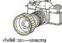 ������ ���� � ���������