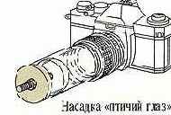 ������ ���� � ���������