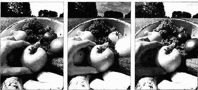 ���������� �������