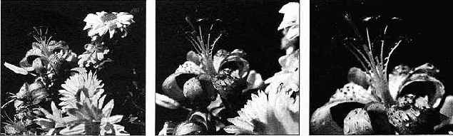 ���������� � ������� ��� ������� ������