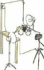 ���������� ���������� ����