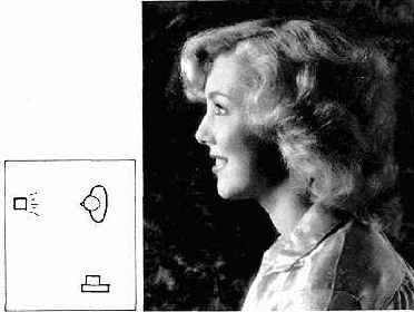 ������� ��������� �������