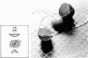 ���������� ������� ���������