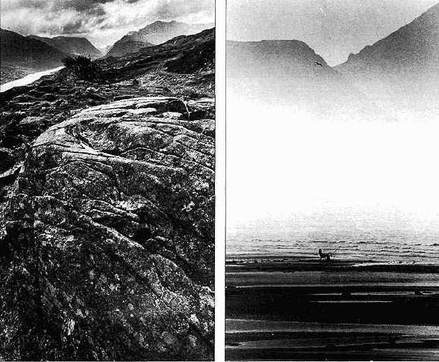 �������� ��������� ����������