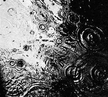 ���� � ���������