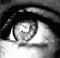 ����� � ����