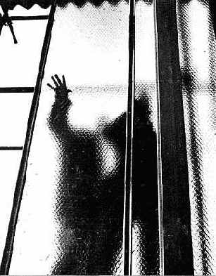 ���� � ���������