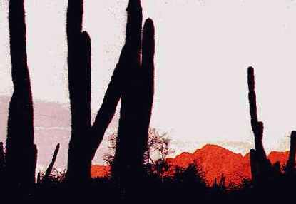 �������� ��������