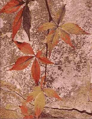 �������� � ������ � �����