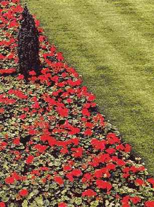 �������� � ������