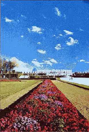 ��������� � ����� ����