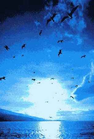 ����� ������������