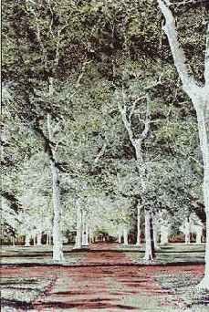 �������� �������������� ������ � ��������� �����