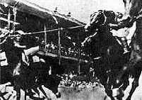 � �������� �. ������� ����� 