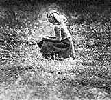 �� �������� 