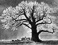 ���� ��������� ���� ������������, ��������� 