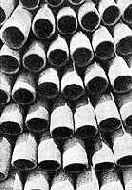 ������ �� ����� �������� ��������� 