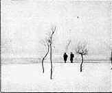 �� �������� 