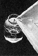 � �������� �. ������� ����� 