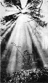 � ������� ���� ����, �������������� 