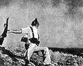 ������ ���������������� �������. �������. 