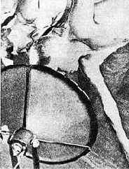 ��������� ��������� ���, 