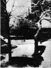 ������������� ��������, 