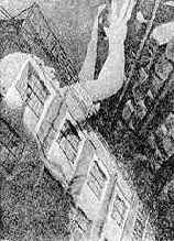 ������� �����������. 1931 �. 