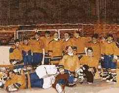 ���������� ������