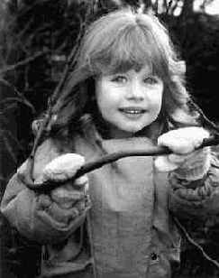 ���������� � ���������