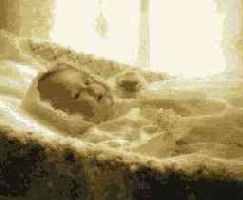 ���������� � ���������