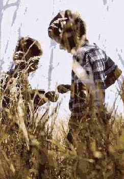 ������������� �����