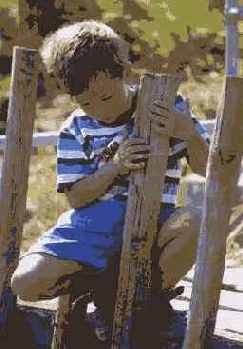 ������������� �����