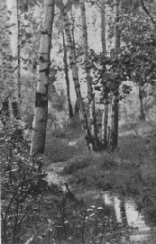 �������� ���������� ������ (����� ������)