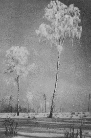 �������� ���������� ������ (����� ������)