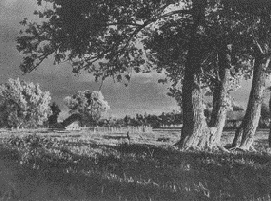 �������� � �������� ������� ������