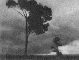 �������� � �������� ������� ������