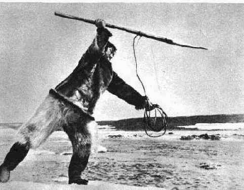 ������� � ���������