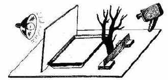 ������ ����� � ������