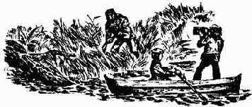 ������������ �������� �����������