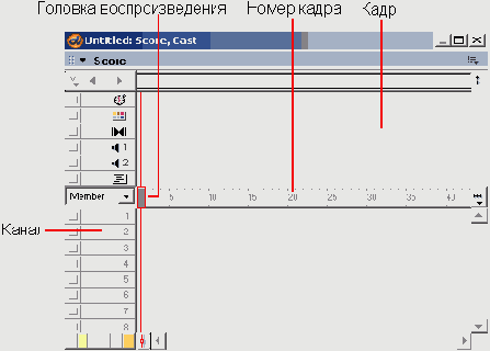 Партитура (Score)
